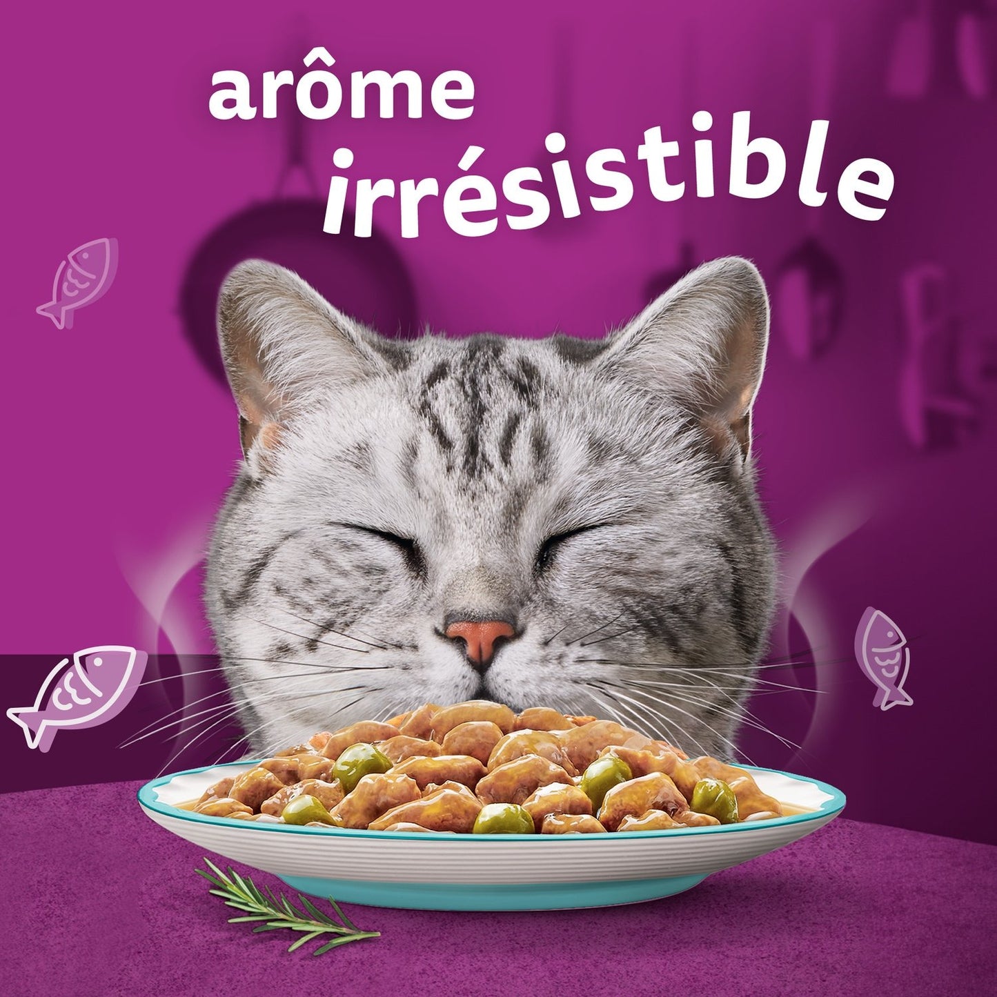 WHISKAS Seafood Delight Cat Food