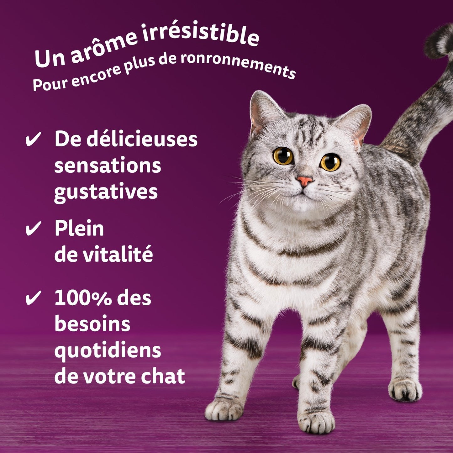 Croquettes pour Chat Fusions des Saveurs en Sauce WHISKAS