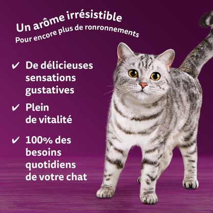 Croquettes pour Chat Fusions des Saveurs en Sauce WHISKAS