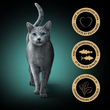 Pâtée pour Chat Adulte en Sauce Thon Cabillaud Délices du Jour SHEBA