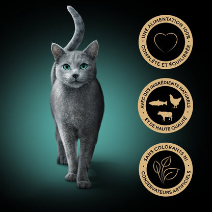 Pâtée pour Chat Adulte en Sauce Boeuf Poisson SHEBA