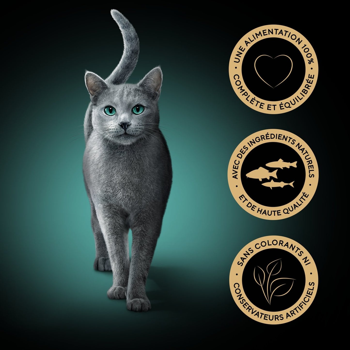 Pâtée pour Chat Adulte en Sauce Thon Saumon Délices Gourmands SHEBA