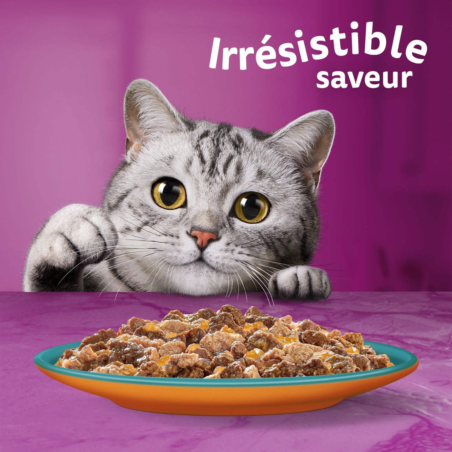 Adult Cat Food in Jelly Cod Chicken Salmon Turkey Tuna Trout Duo Land Sea WHISKAS