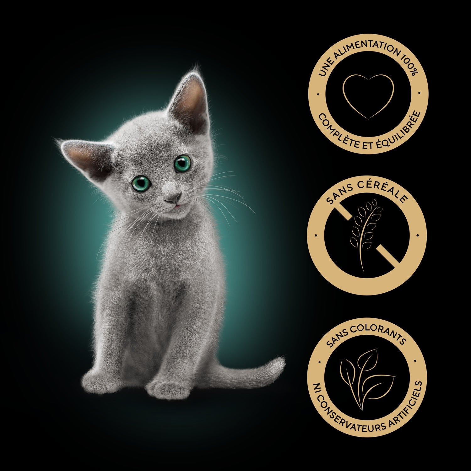 Pâtée Pour Chat Junior En Sauce Saumon Poulet SHEBA 
