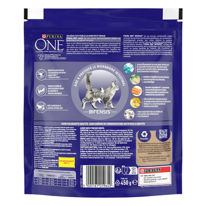 Purina One Adult Cat Food with Salmon Bifensis