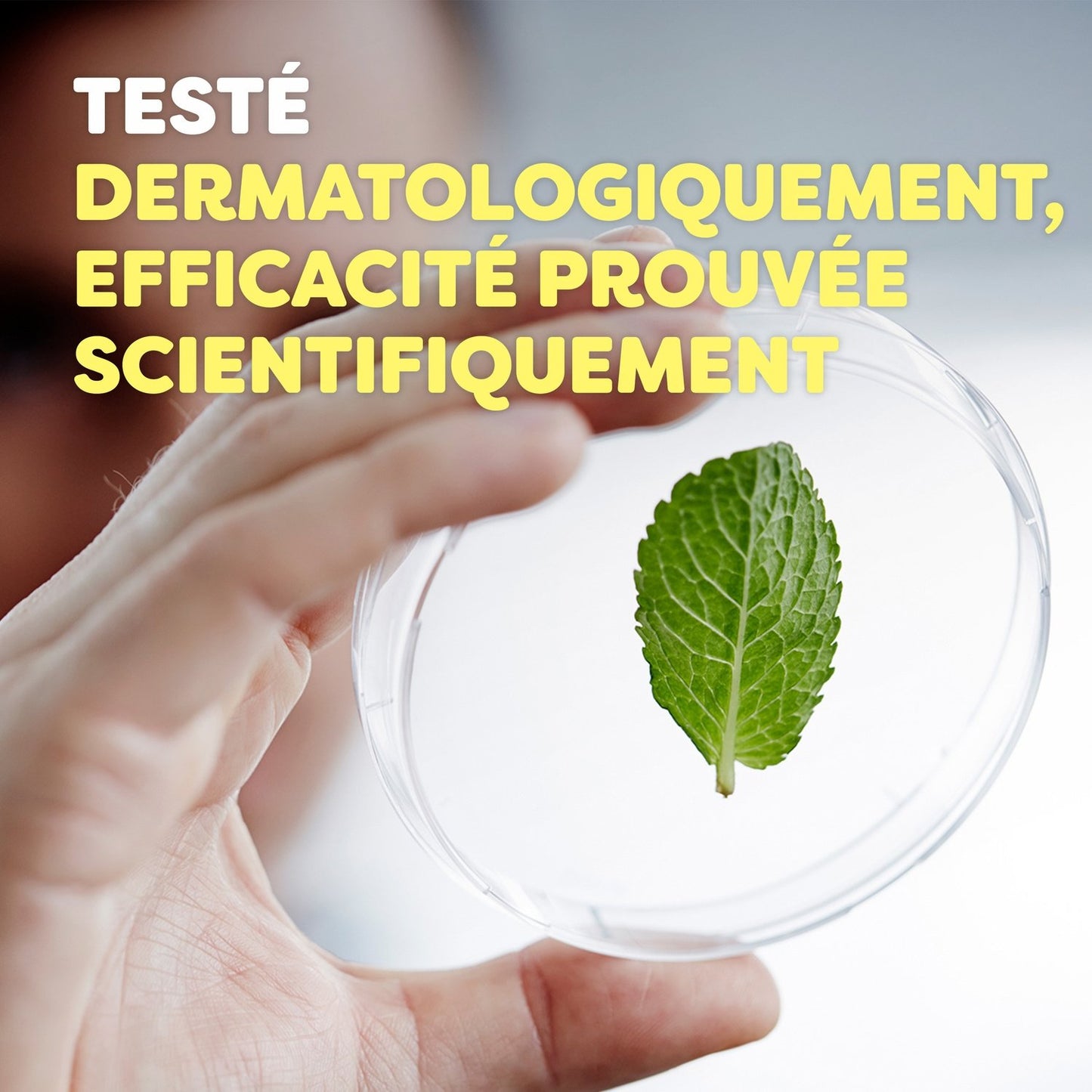 Insecticide Anti-Moustique Botanicals AUTAN