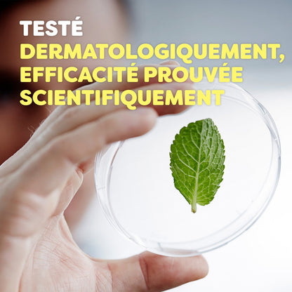 Insecticide Anti-Moustique Botanicals AUTAN
