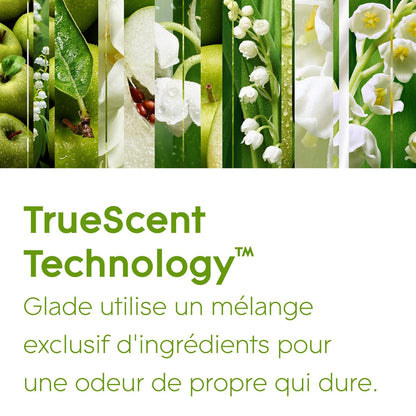 GLADE Maiglöckchen Sense &amp; Spray Lufterfrischer Nachfüllpackung