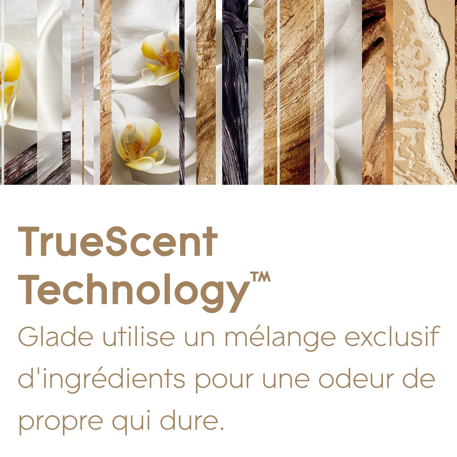 Désodorisant Recharge Vanille Romantique et Huiles essentielles GLADE 