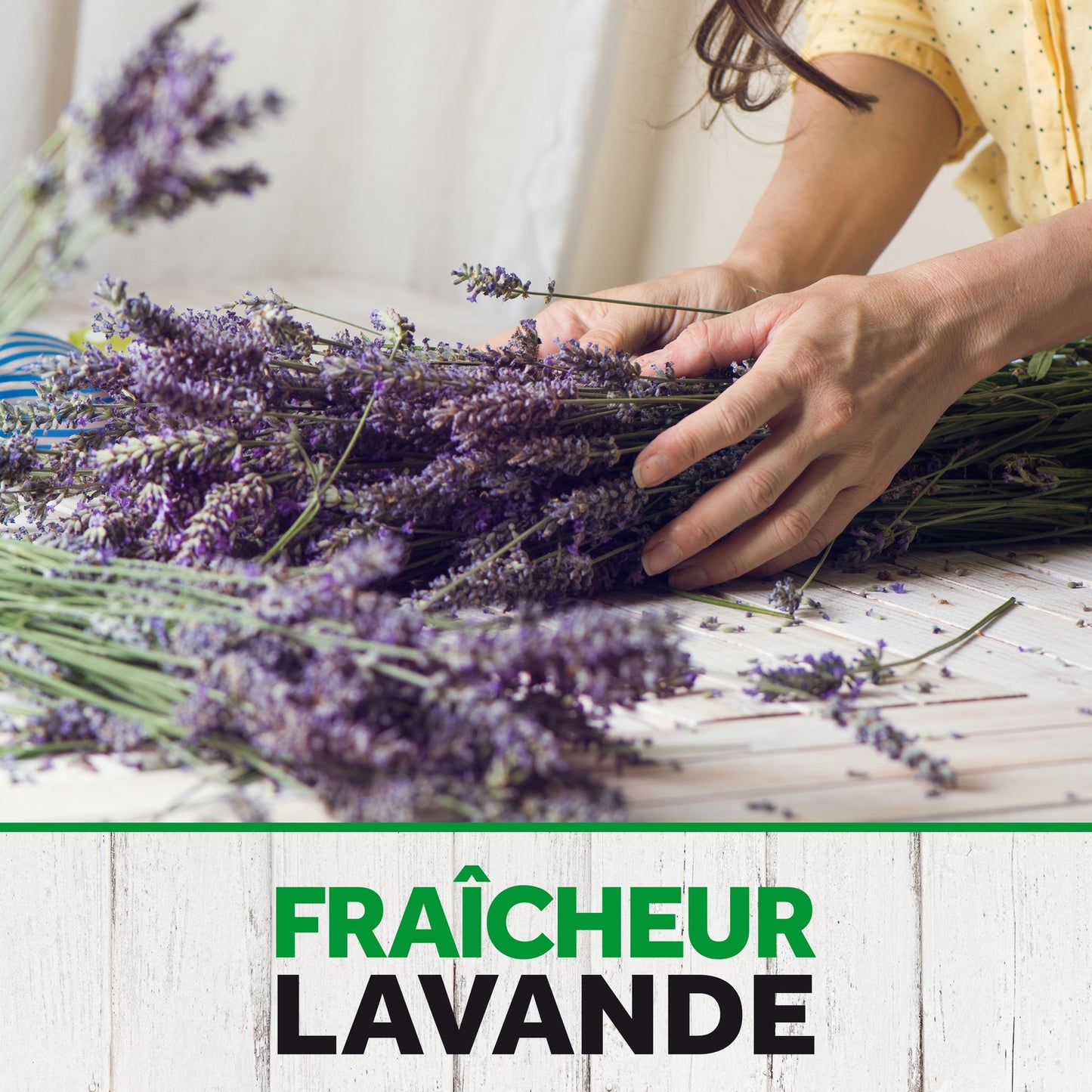 Anti-Mites Sachets Parfumés Fraîcheur Lavande PYREL