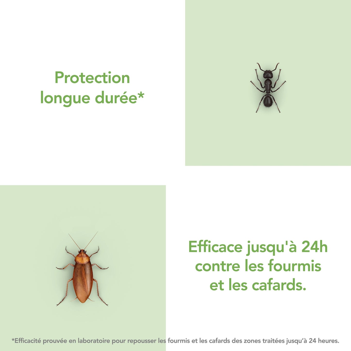 Insecticide Spray Anti-Fourmis et Anti-Cafards RAID