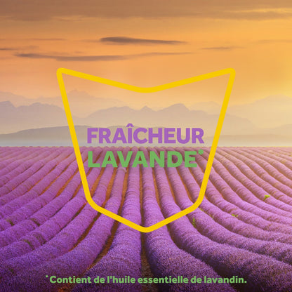 Anti-Mites Sachets Parfumés Fraîcheur Lavande RAID