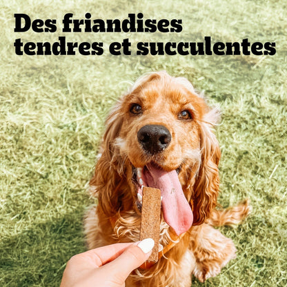 Friandises pour Chien Adulte Volaille Schmachos PEDIGREE