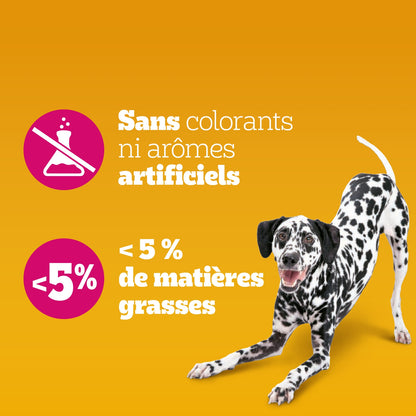Aliment Complémentaire pour Chien Adulte Entretien des Articulations PEDIGREE