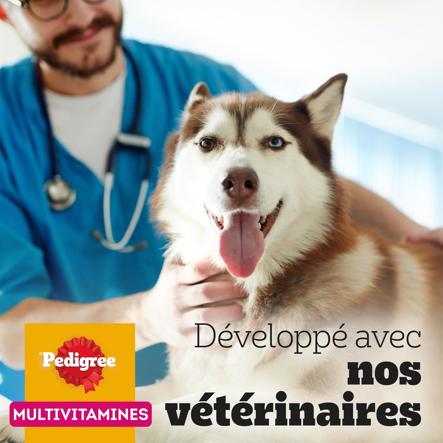 Aliment Complémentaire pour Chien Adulte Entretien des Articulations PEDIGREE