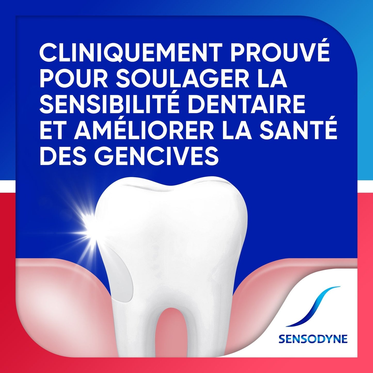Dentifrice Sensibilité et Gencives SENSODYNE