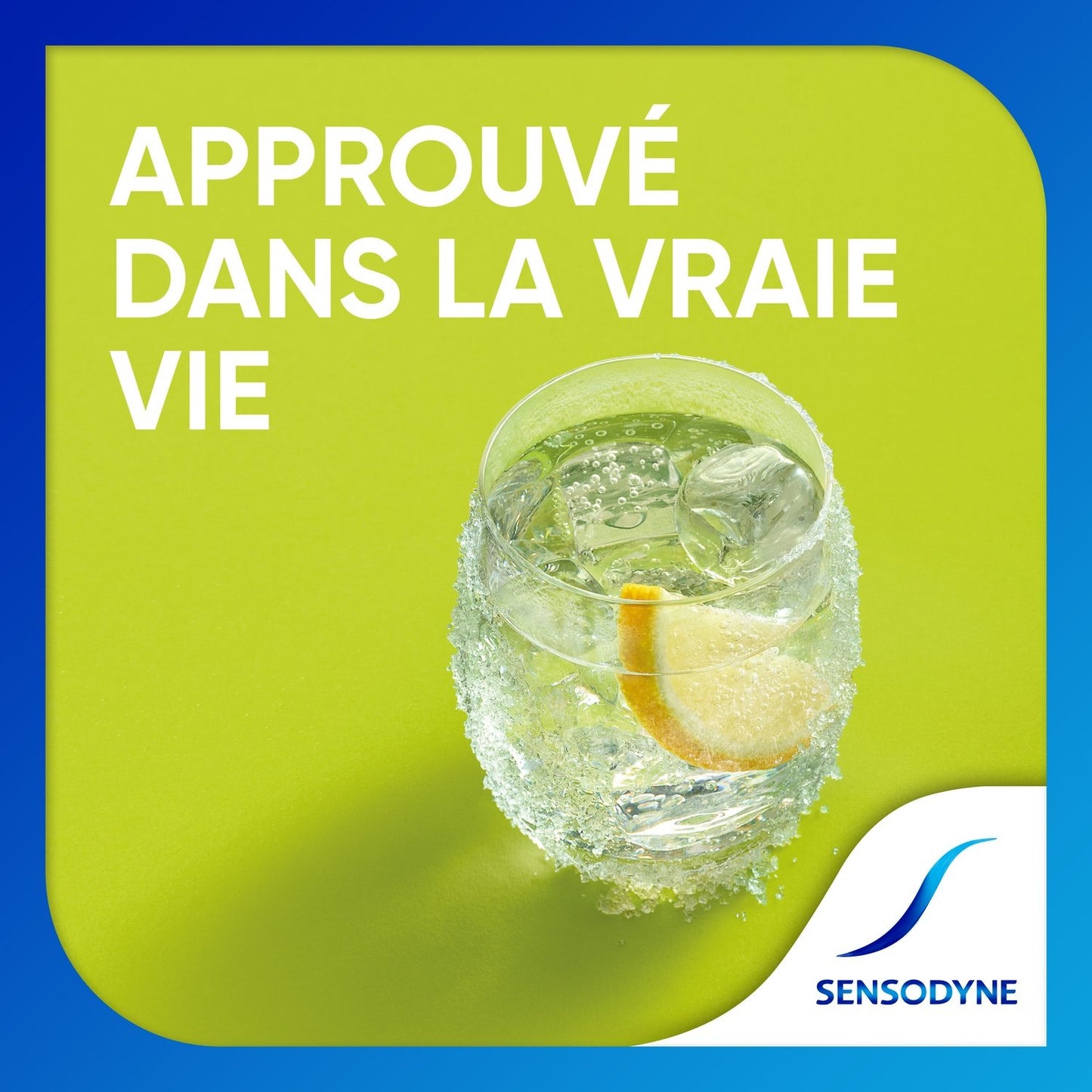 Dentifrice Protection Sensibilité Dentaire + Dents Fortes & Gencives Saines Soin Blancheur au Charbon d'Origine Naturelle SENSODYNE