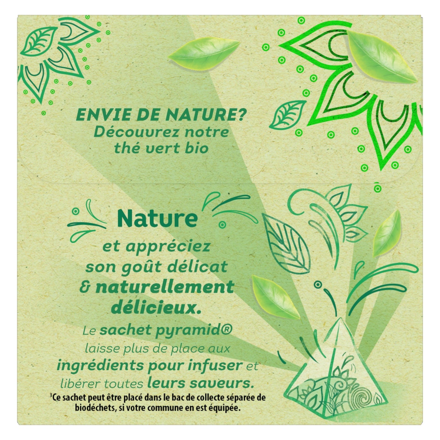 Thé Vert Nature Bio LIPTON 