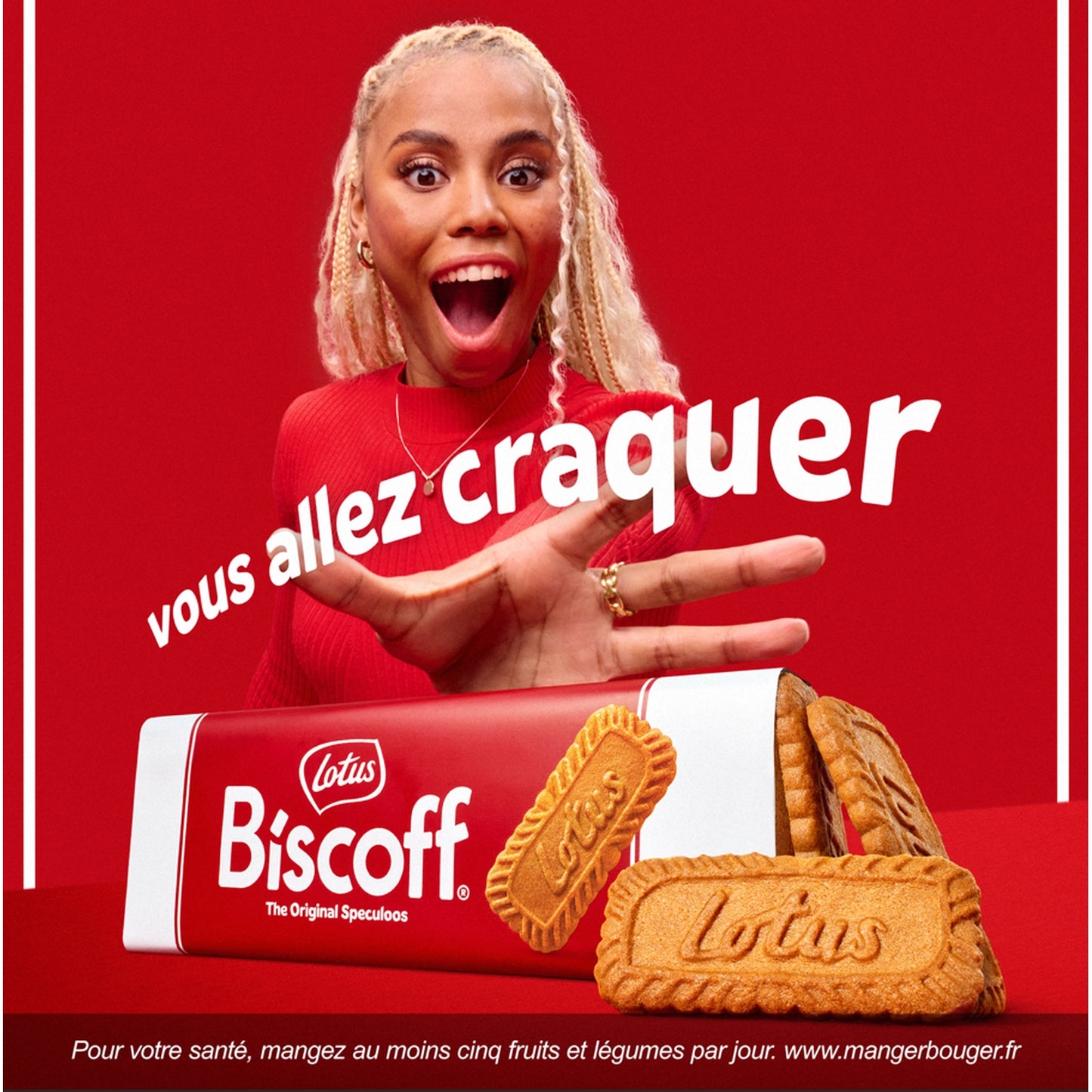 LOTUS BISCOFF Original Family Size Speculoos Biscuits