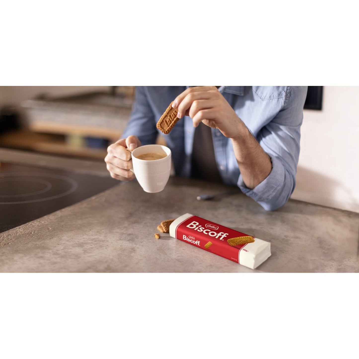 LOTUS BISCOFF Original Family Size Speculoos Biscuits