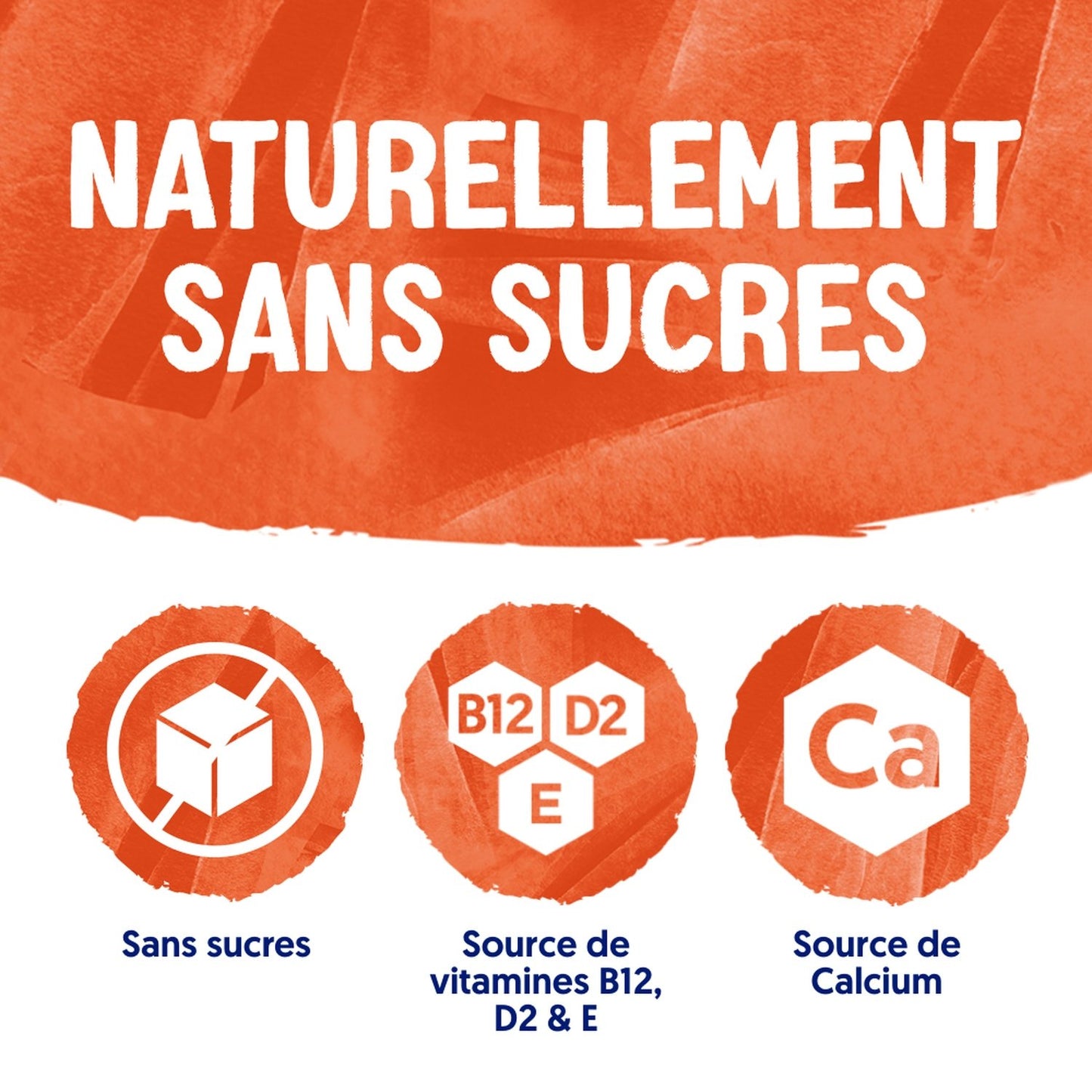 Boisson Végétale Amande Grillée Sans Sucres ALPRO