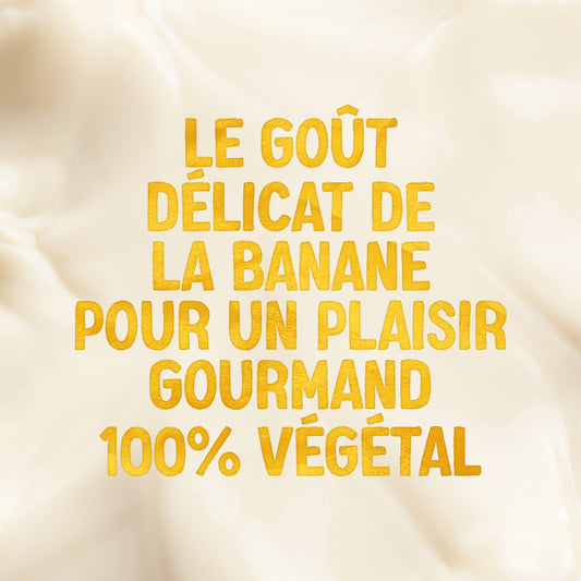 Boisson Végétale Soja Banane ALPRO
