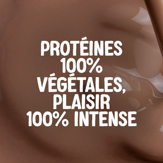 ALPRO Chocolate Flavored Soy Protein Drink