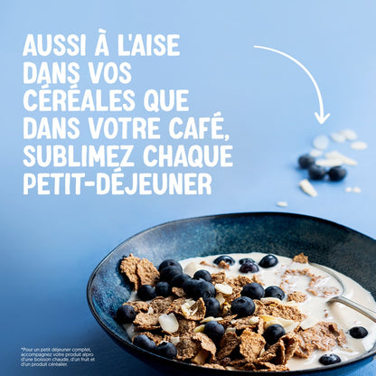 Boisson Végétale Avoine Spécial Petit Déj ALPRO
