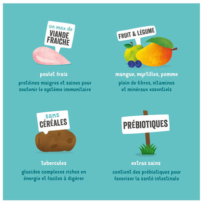 Croquettes pour Chien Adulte Sans Céréales Poulet Succulents Edgar & COOPER