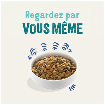 Croquettes pour Chien Adulte Sans Céréales Saumon Edgar & COOPER