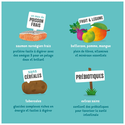 Croquettes pour Chien Adulte Sans Céréales Saumon Edgar & COOPER