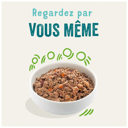 Pâtée pour Chien Adulte Agneau Boeuf Légumes Sans Céréales Irresistibles Edgar & COOPER