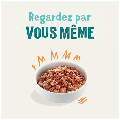 Pâtée pour Chien Adulte Sans Céréales Poulet Dinde Succulents Edgar & COOPER