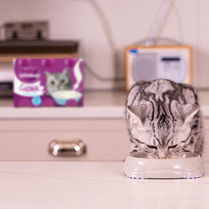 Lait pour Chat Adultes et Junior Catmilk WHISKAS