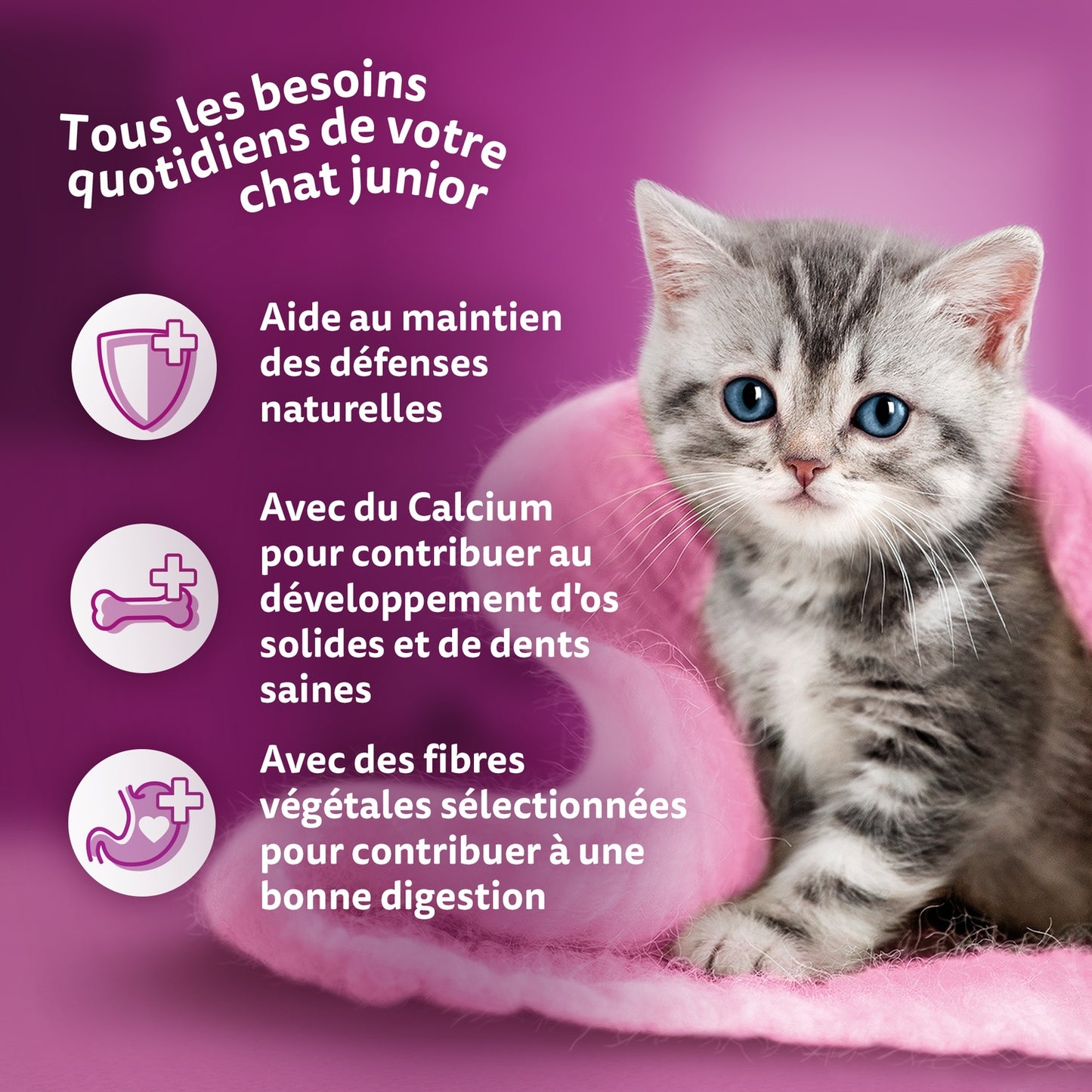 Croquettes pour Chatons Junior WHISKAS