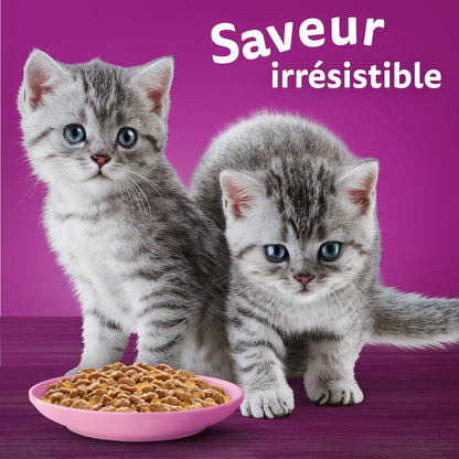 Pâtée pour Chat Junior en Gelée Poulet Dinde Canard Volaille les Festins WHISKAS