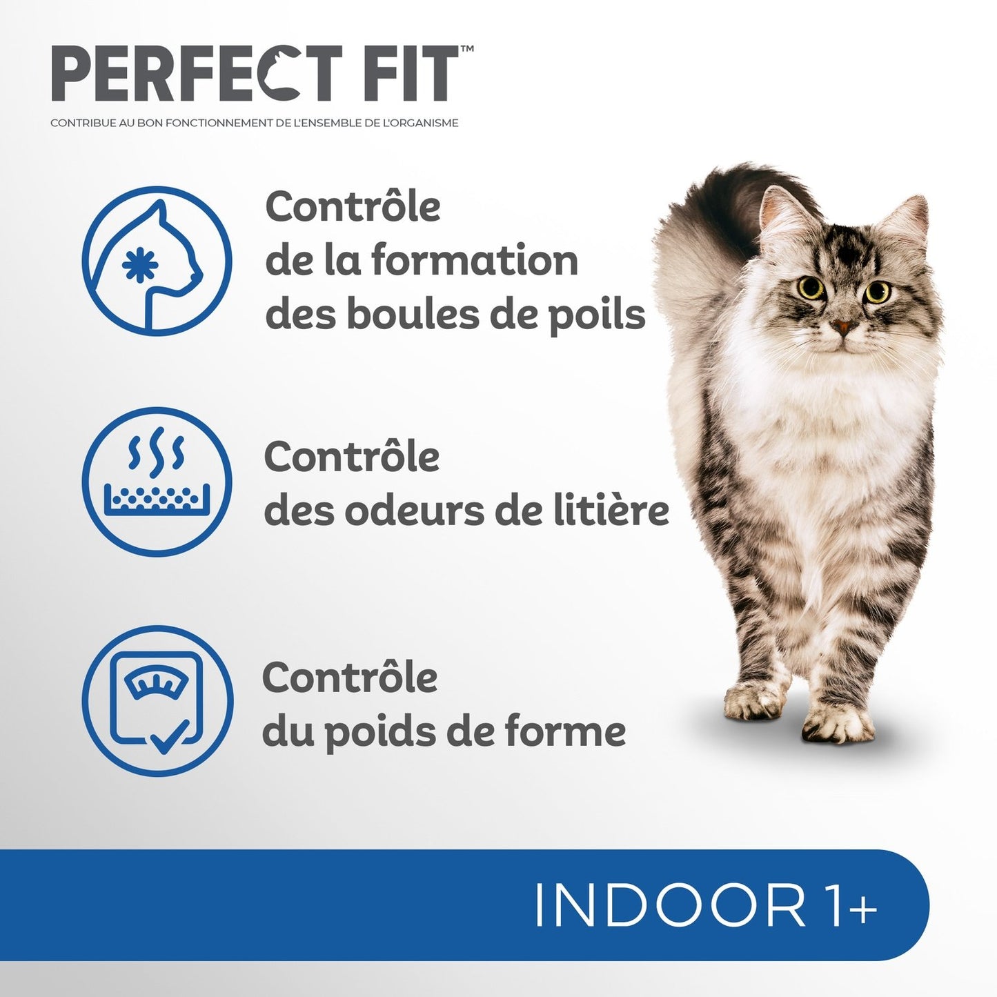 Croquettes pour Chat Adulte Stérilisé Poulet d'Intérieur PERFECT FIT