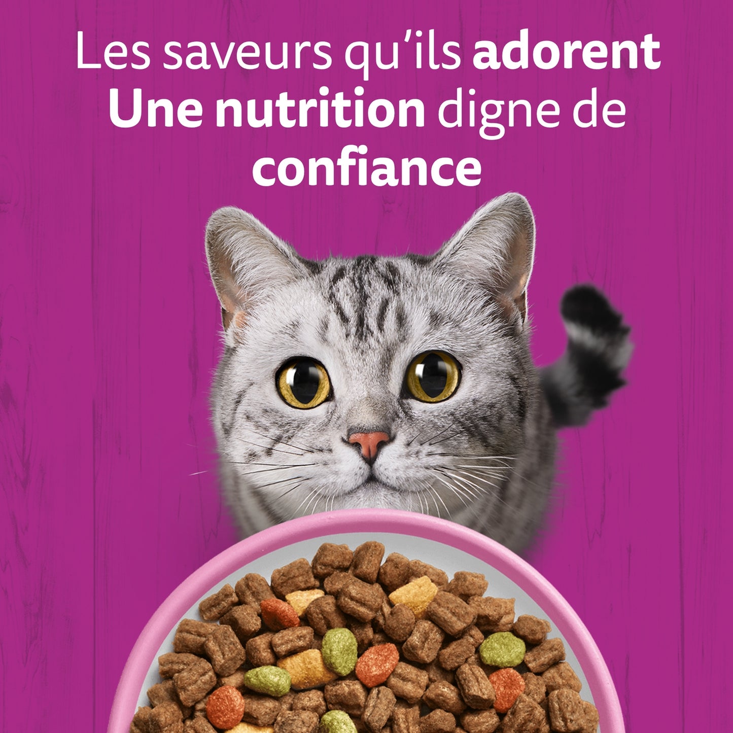 Croquettes pour Chat Adulte Stérilisé au Saumon WHISKAS 