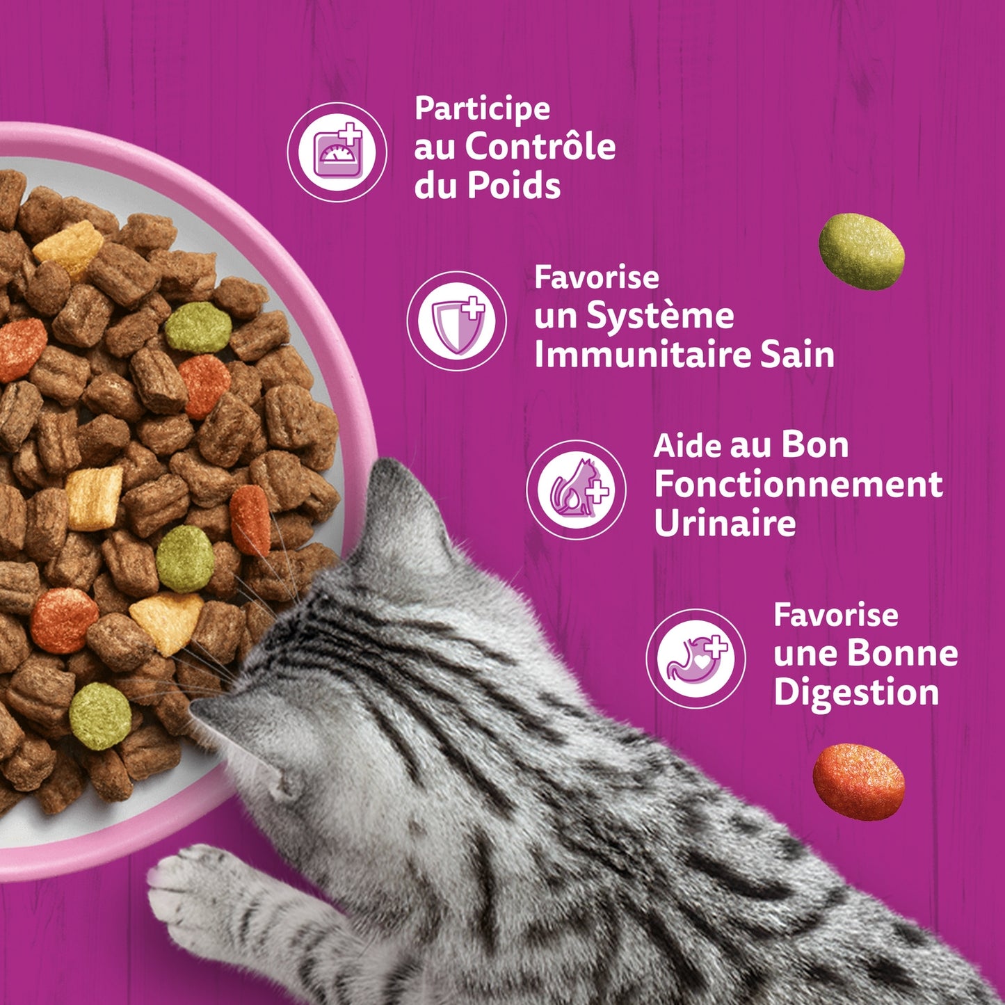 Croquettes pour Chat Adulte Stérilisé au Saumon WHISKAS 