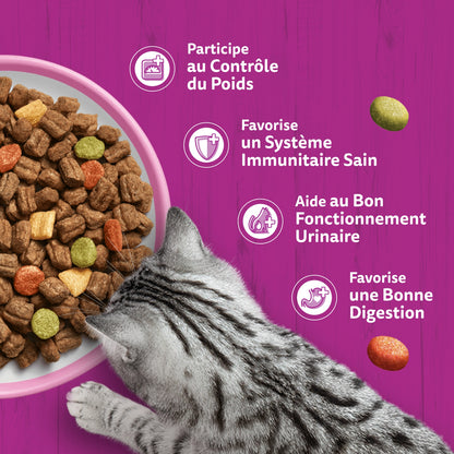 Croquettes pour Chat Adulte Stérilisé au Saumon WHISKAS 