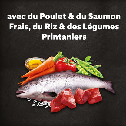 Croquettes pour Petit Chien Adulte au Poulet, au Saumon, au Riz et aux Légumes CESAR