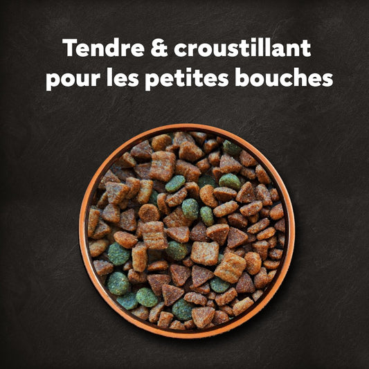 Croquettes pour Petit Chien Adulte au Bœuf à la Volaille aux Lentilles et aux CESAR
