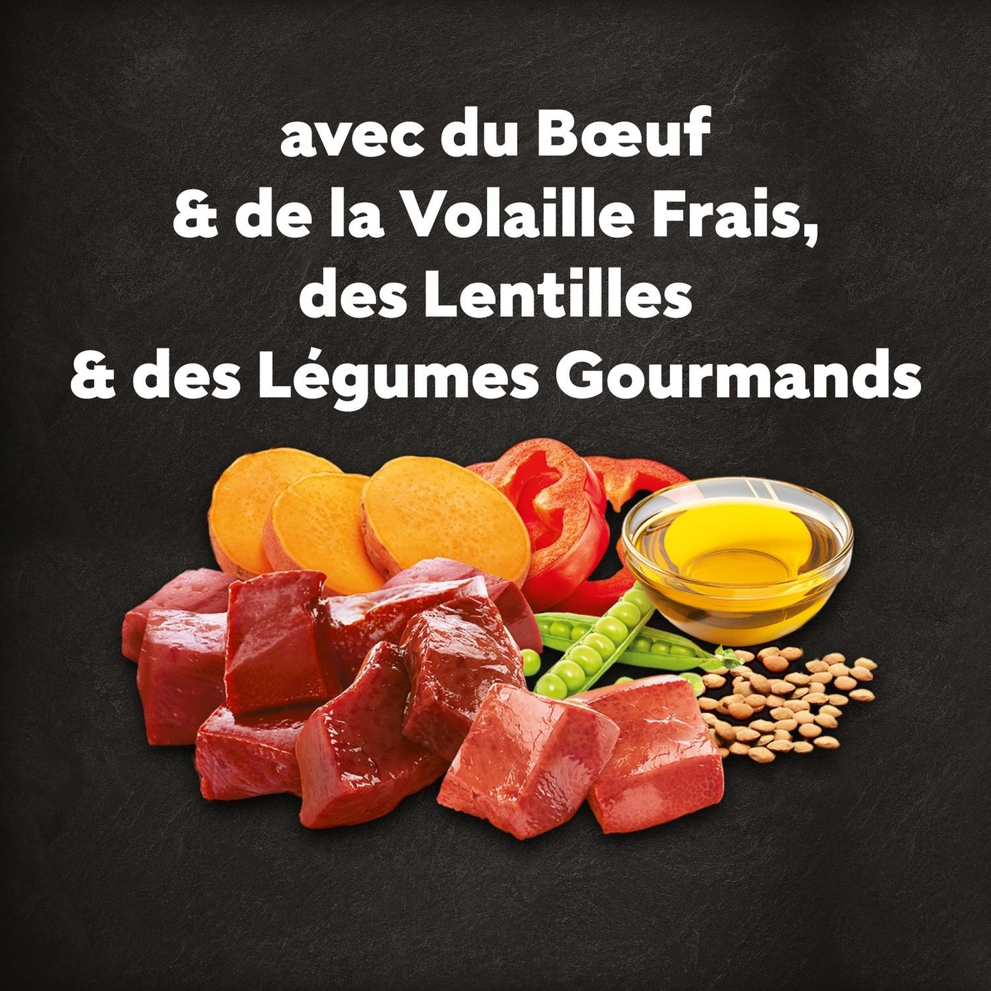 Croquettes pour Petit Chien Adulte au Bœuf à la Volaille aux Lentilles et aux CESAR