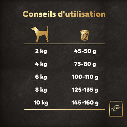 Croquettes pour Petit Chien Adulte au Bœuf à la Volaille aux Lentilles et aux CESAR