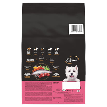 Croquettes pour Chien Adulte Poulet Saumon Riz Légumes CESAR 