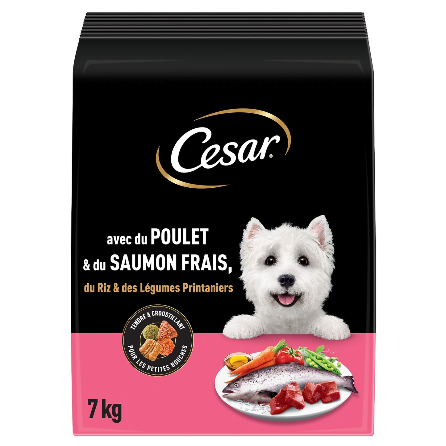Croquettes pour Chien Adulte Poulet Saumon Riz Légumes CESAR 