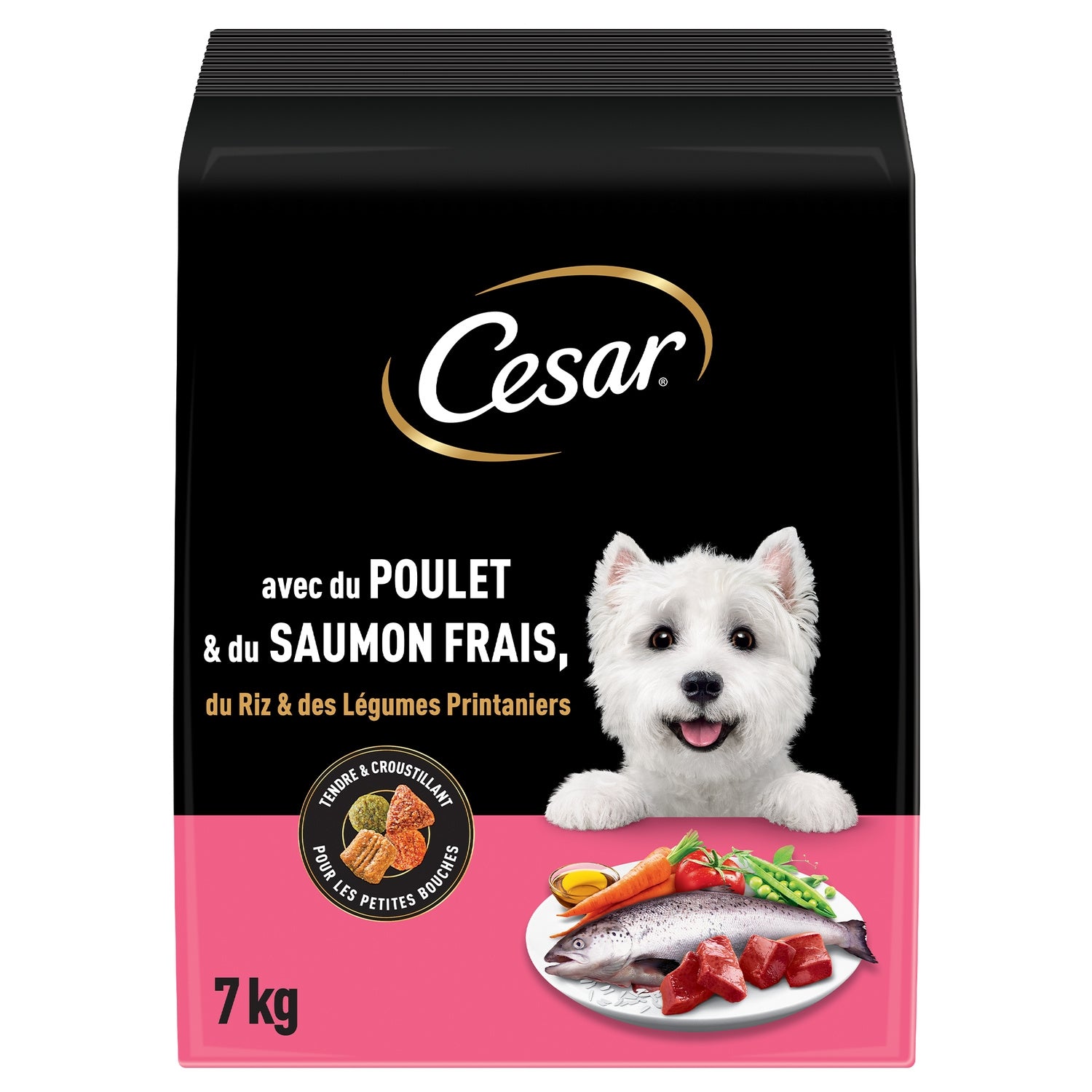 Croquettes pour Chien Adulte Poulet Saumon Riz Légumes CESAR 