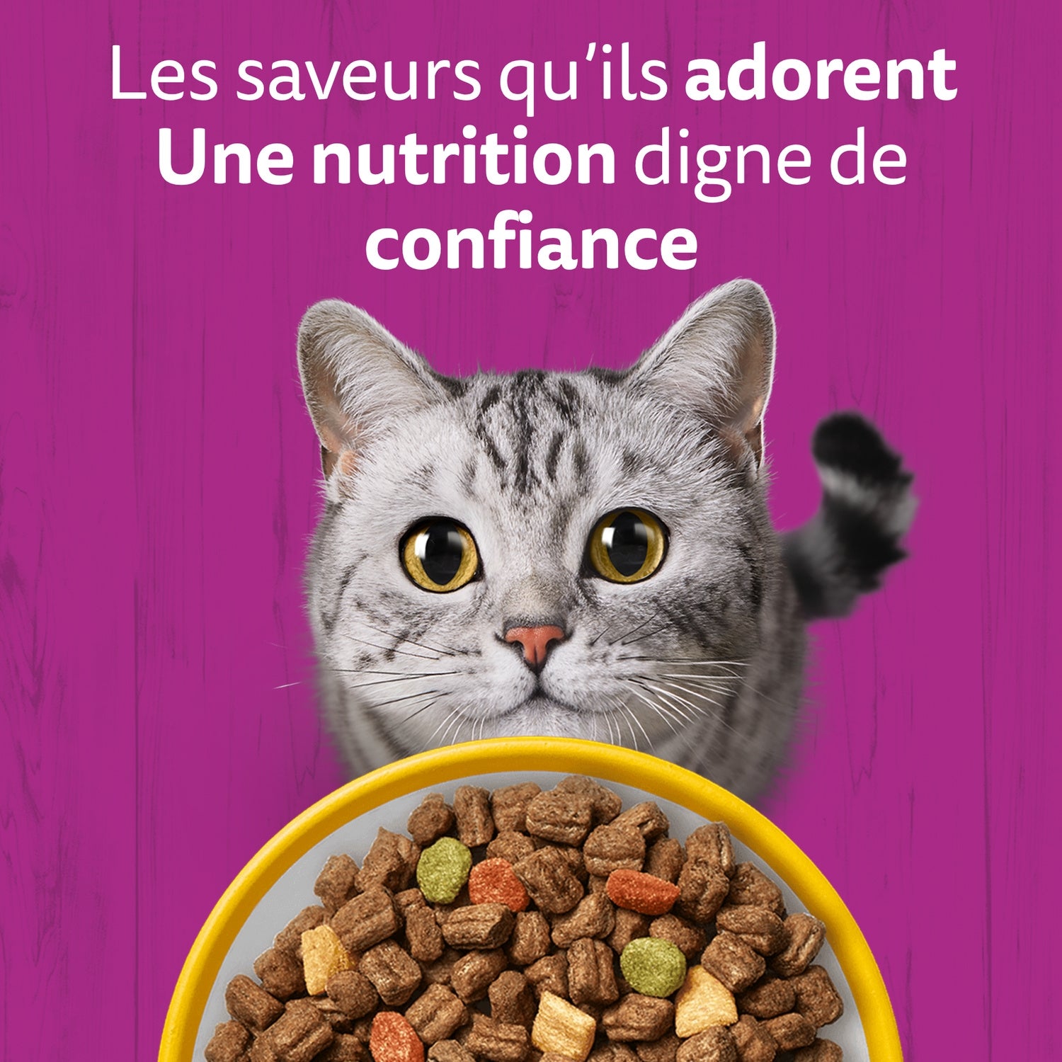 Croquettes pour Chat Adulte Stérilisé au Poulet WHISKAS 