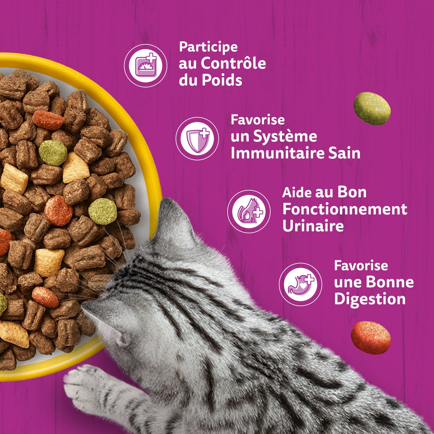 Croquettes pour Chat Adulte Stérilisé au Poulet WHISKAS 