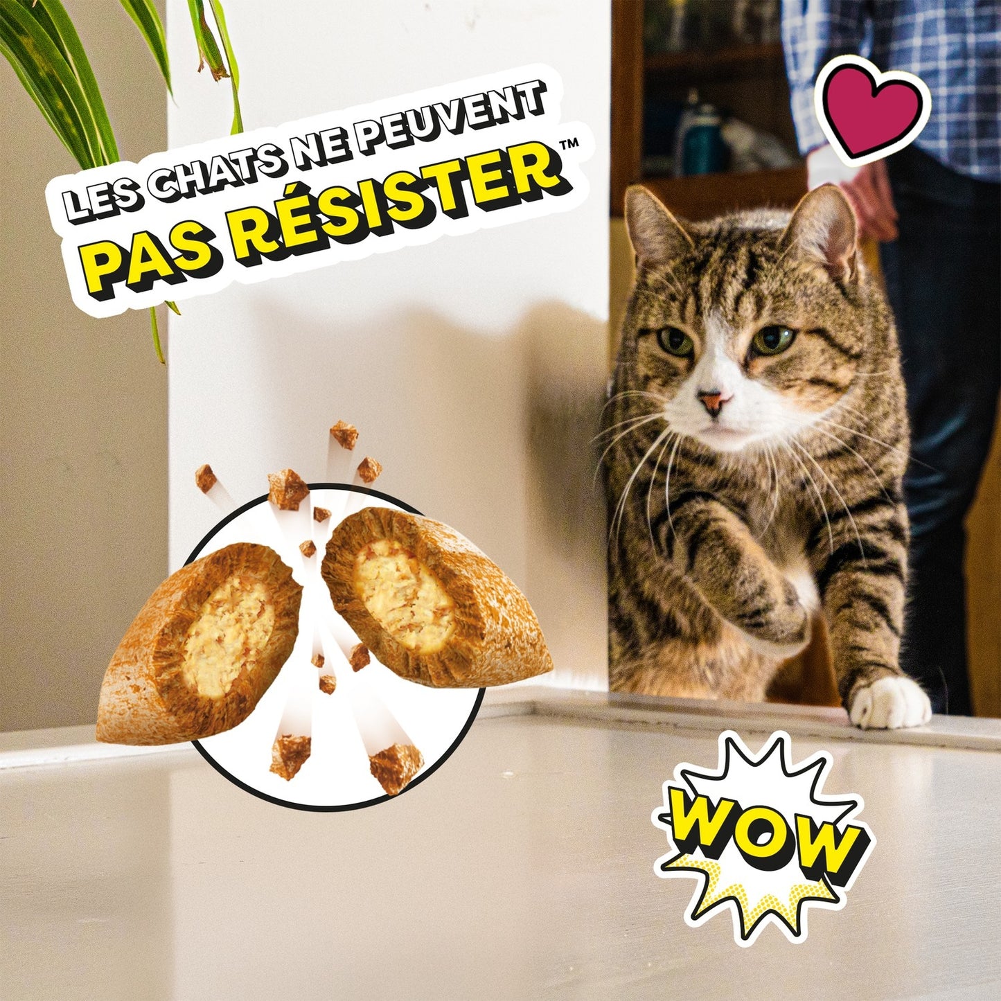 Friandises pour Chat Adulte Fromage CATISFACTIONS